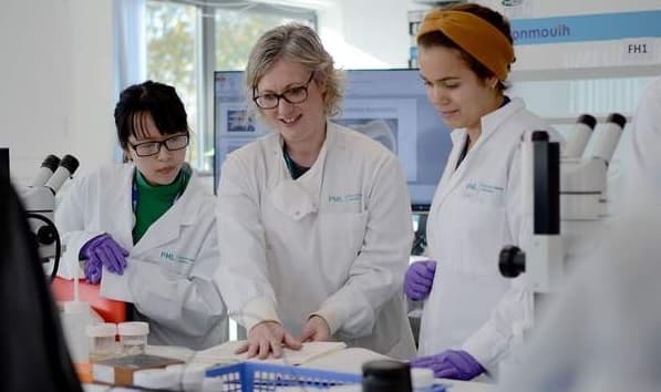  Technical & Scientific  Support visualization